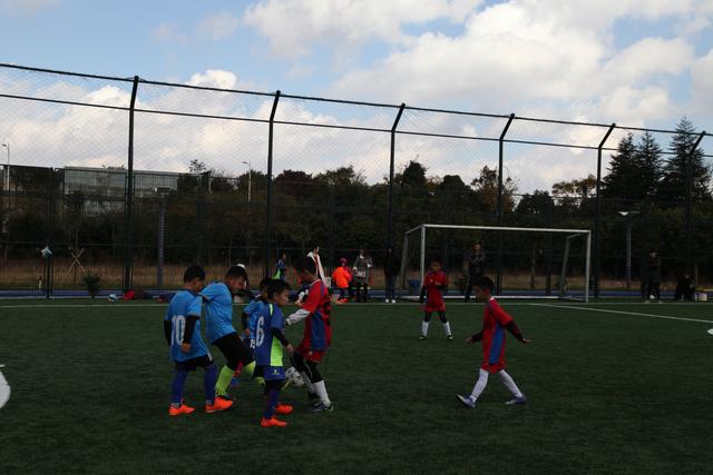 羽毛球比赛迎重磅改革 15分制对比赛有何影响